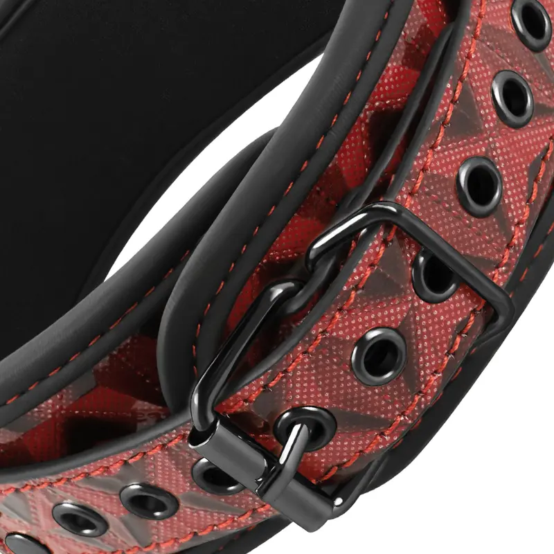 BEGME - COLLARE IN PELLE VEGANA PREMIUM RED EDITION CON FODERA IN NEOPRENE - immagine 5