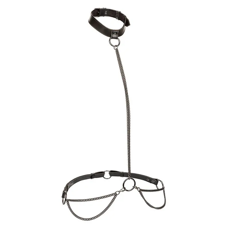 CALEXOTICS - EUPHORIA COLLARE A CATENA E GUINZAGLIO TAGLIA PIÙ GRANDE - immagine 2